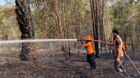 kebakaran-hutan-luwu