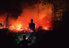 kebakaran-hutan-sumatera