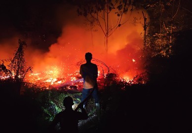 kebakaran-hutan-sumatera