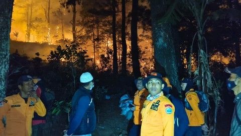 kebakaran hutan Bangka